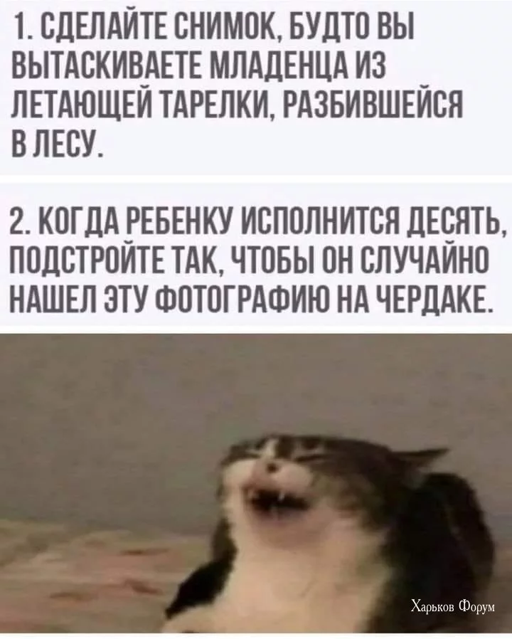 ffd1b8deed9a6e84e.webp