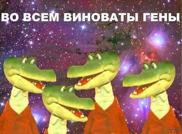 ffd1cb.webp