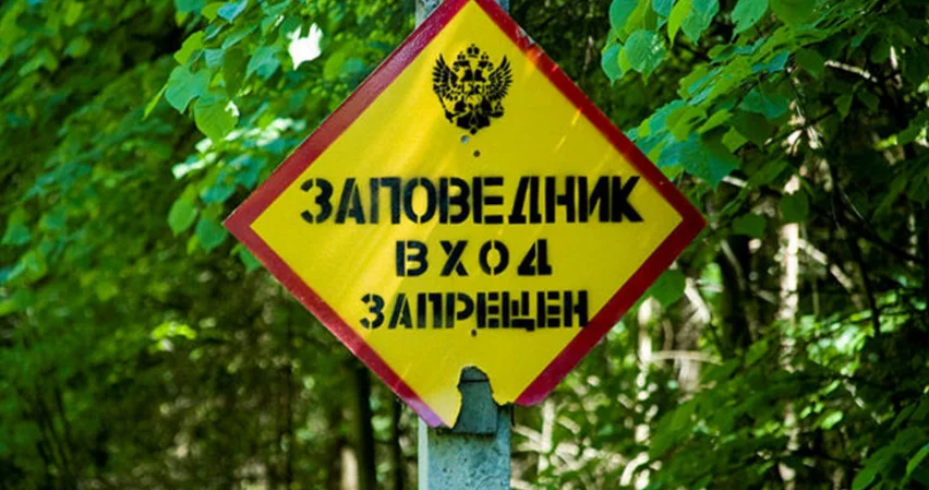 ffd9gd.webp