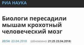 ffdbh4.webp
