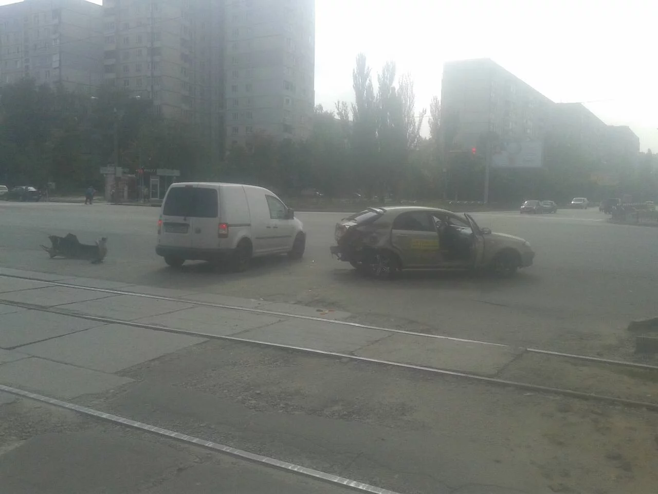 ffdg2a.webp