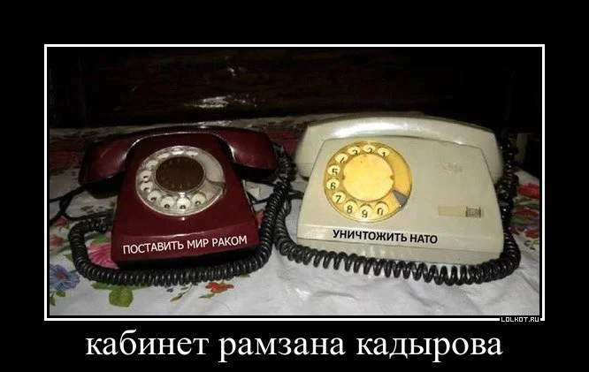 ffdg4j.webp