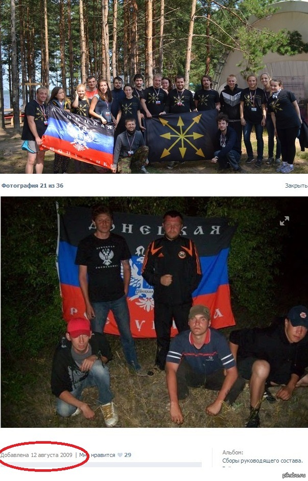 ffdgj5.jpg