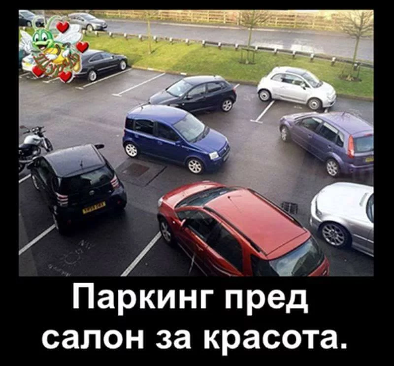 ffe1ba.webp