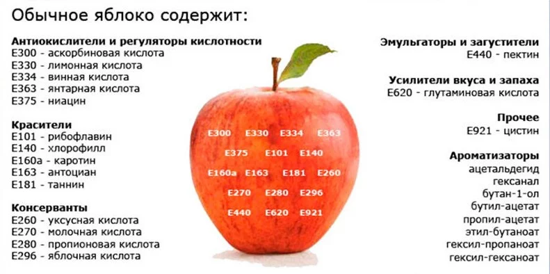 ffebg6.webp