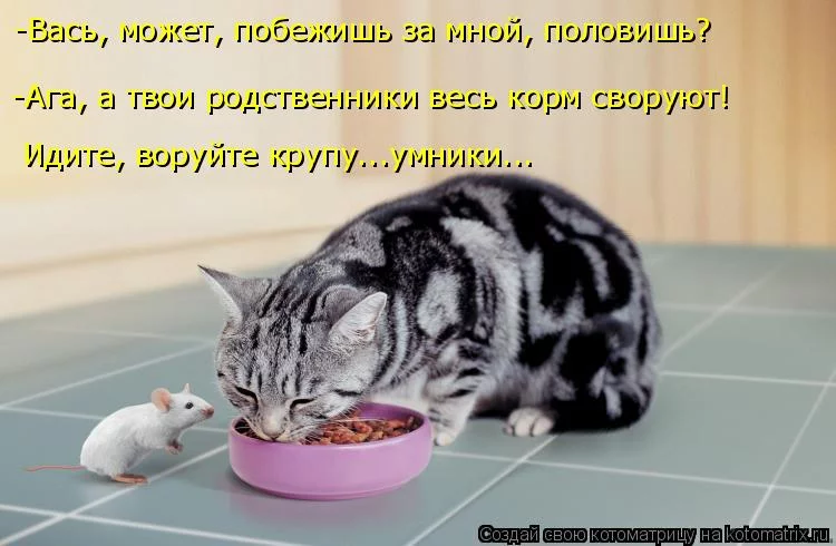 ffeh9j.webp