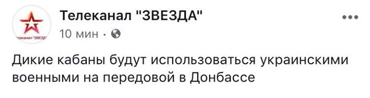 ffej7b.webp