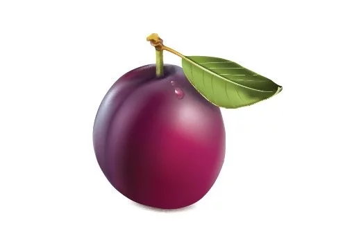 fff72ad680e78c9592b5f.webp