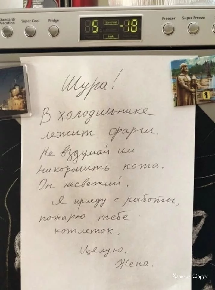 fff88b67f07f2dd33f49c6.webp