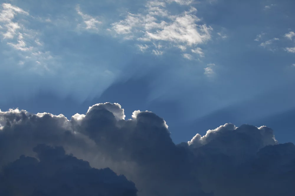 fffe3h.webp