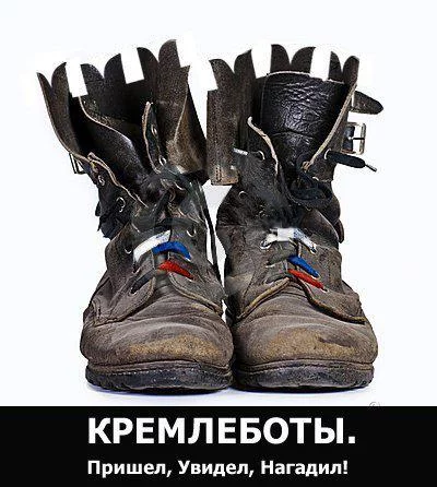 ffgch7.webp
