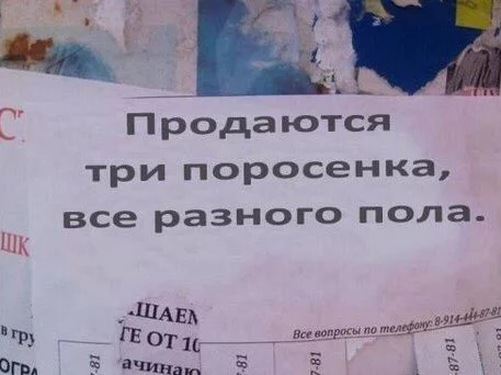 ffh6fg.webp