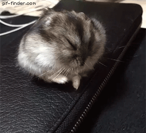 ffjea7.gif