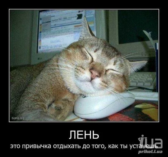 ffjf9e.webp