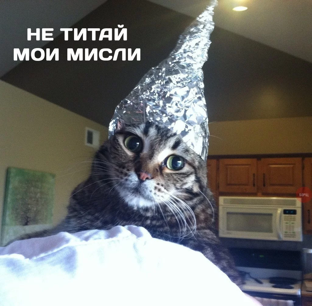 fg3efg.webp