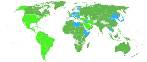 fg5gff.webp
