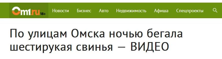 fg7bfh.webp