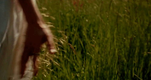 fgb1hb.gif