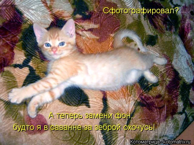 fgbf2d.webp
