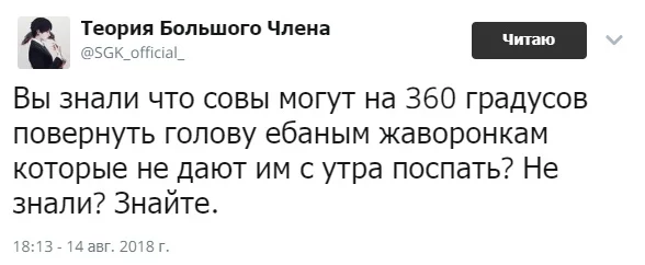 fgehd5.webp