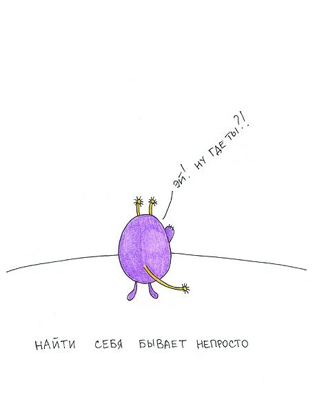 fgf5cj.webp