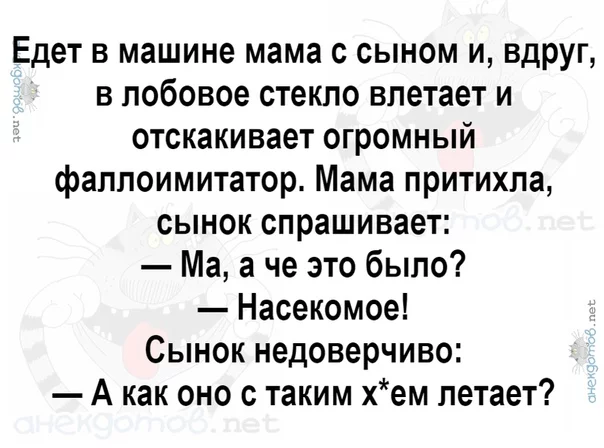 fgfej4.webp