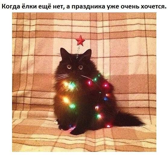 fgfje6.jpg