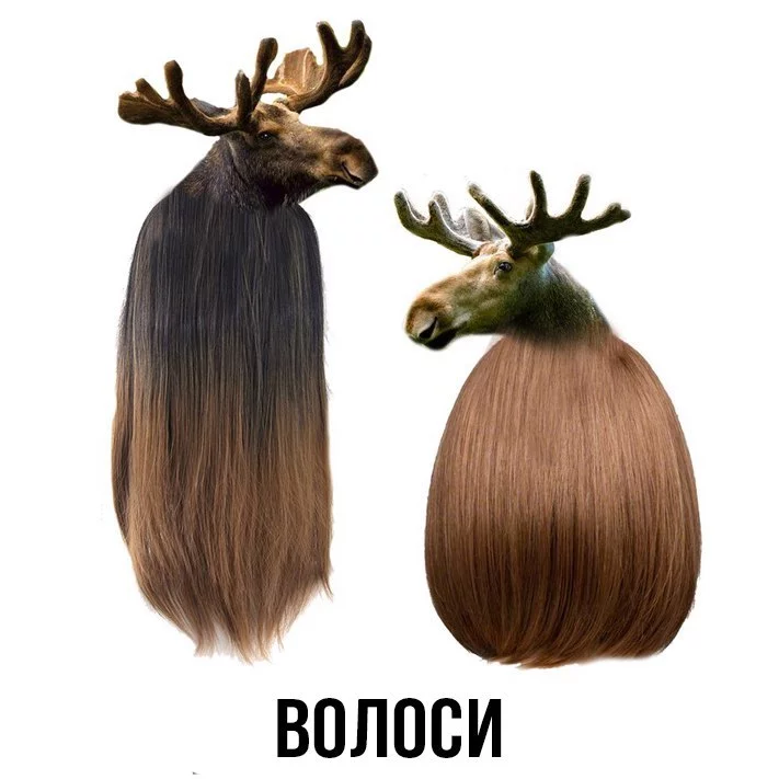fgfTqrSFGNc.webp