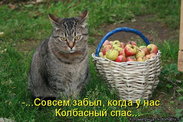 fgg7jb.webp