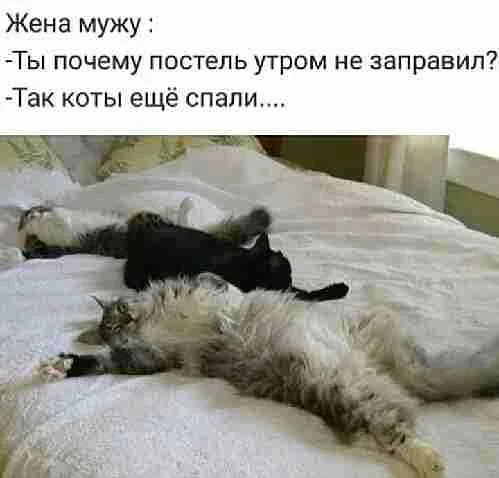 fgge4c.webp