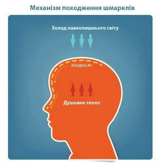 fggh6a.webp