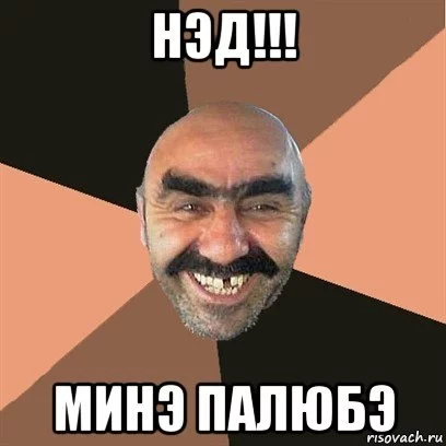 fghf7g.webp