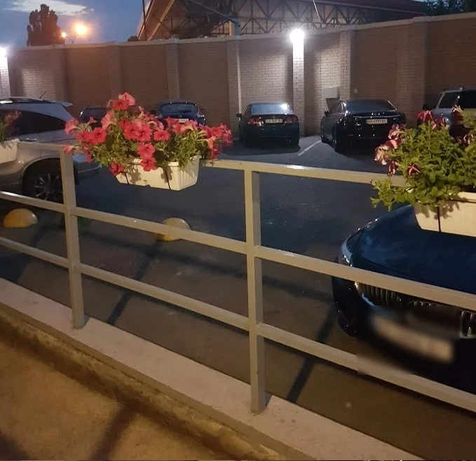 fgjg6h.webp