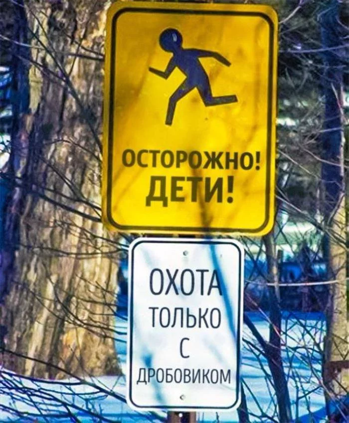 fgjgh3.webp