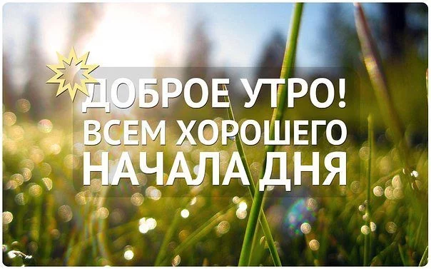 fh2hcf.webp