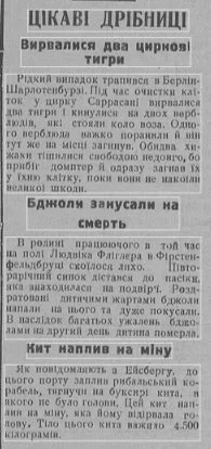 fheg9b.webp
