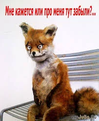 fhf1fh.webp