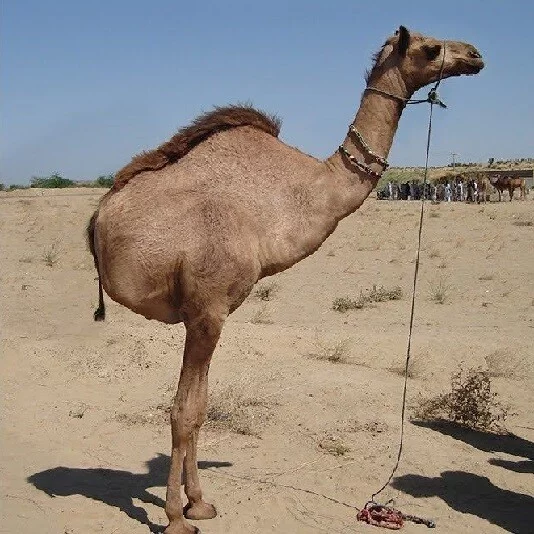 FHf6NhEWQAY3Ixq?format=png&name=small.webp