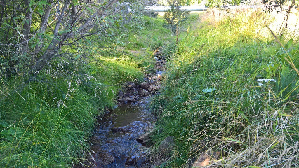 fhfhj1.webp