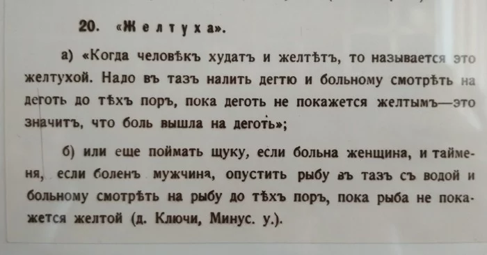 fhgjd2.webp