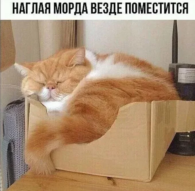 FHhGWlGWYAIxxrW?format=jpg&name=small.webp