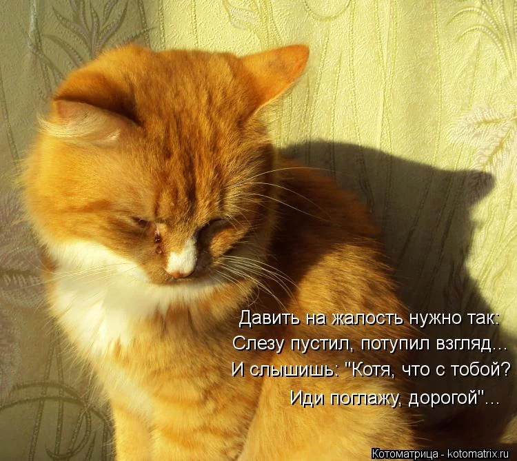 fhj7ef.webp