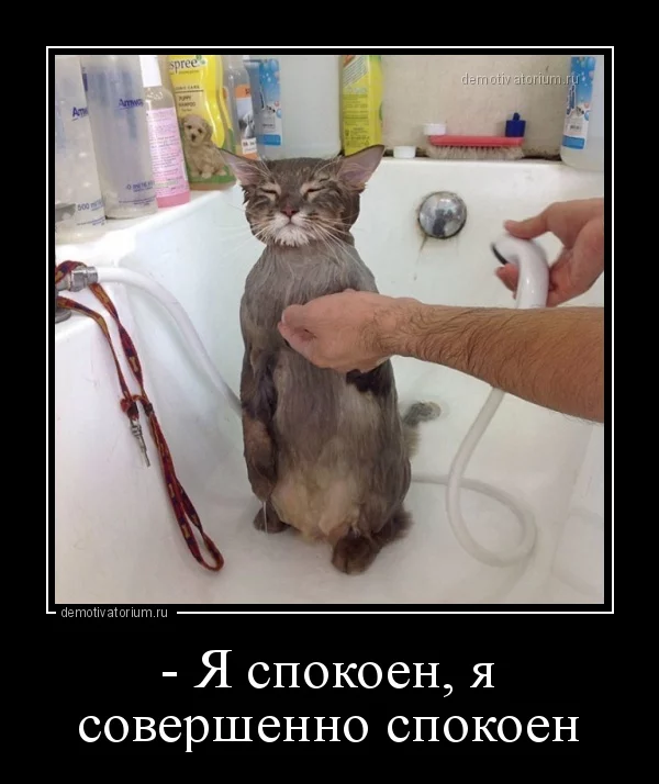 fhjg0e.webp