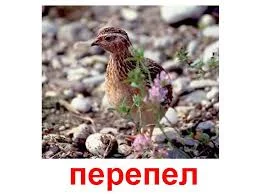 fhTYplhnFUcnyZzkWVT0G5SdqXTO5JCWSLEtPa8ONS9Gi9zgOQ.webp