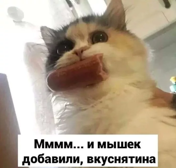 FIgJEsFWUAMCfFE?format=jpg&name=small.webp