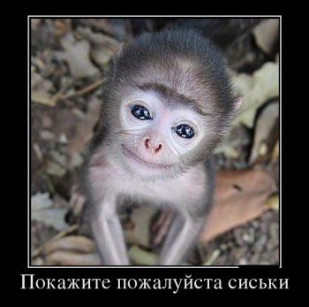 file.jpg