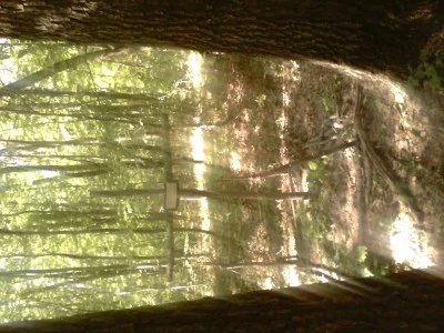 file.webp