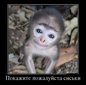 file.webp