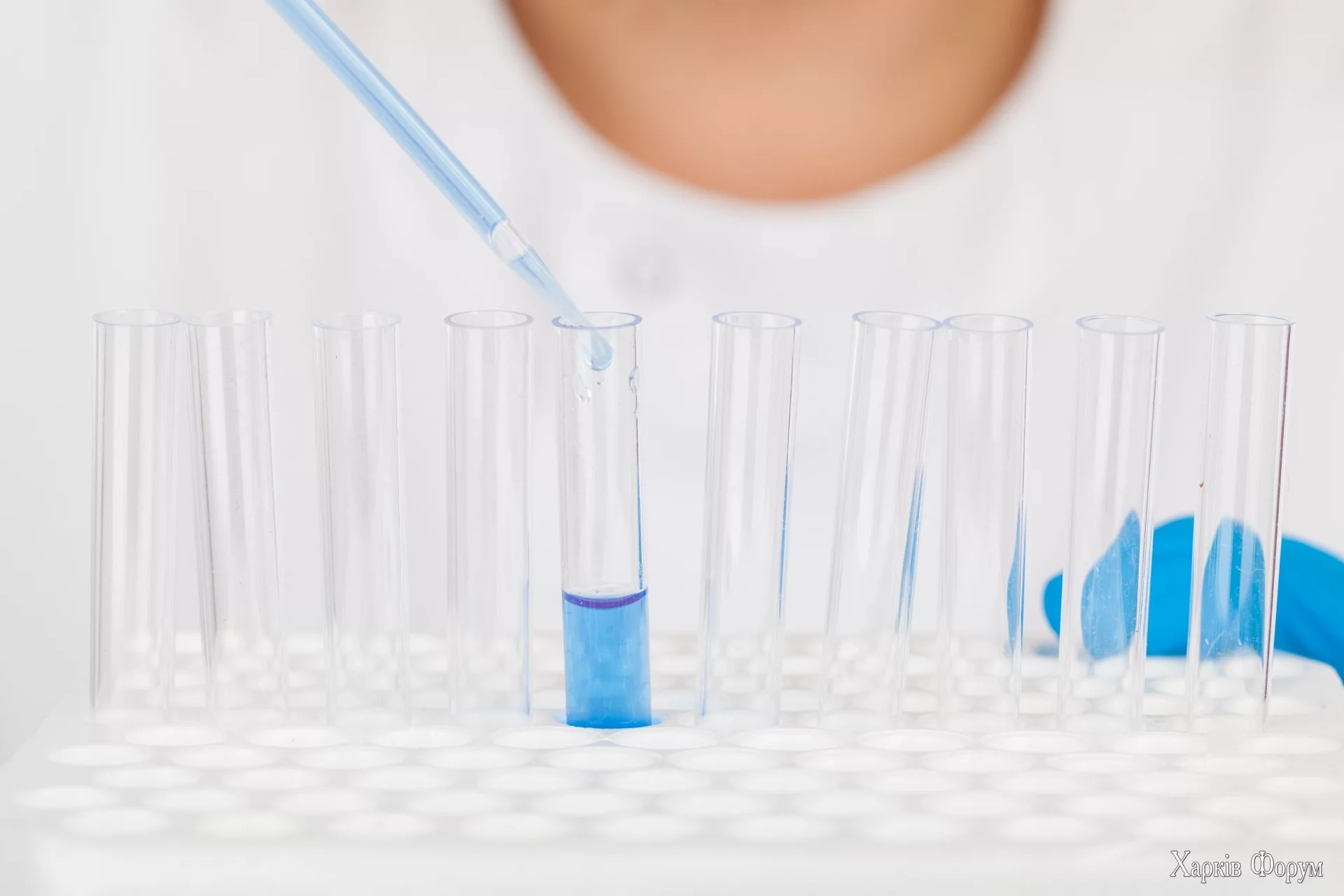 filling-up-the-test-tubes-1567952325ZqE-1.webp