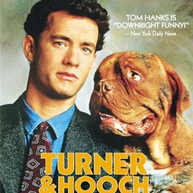 film-terner.webp